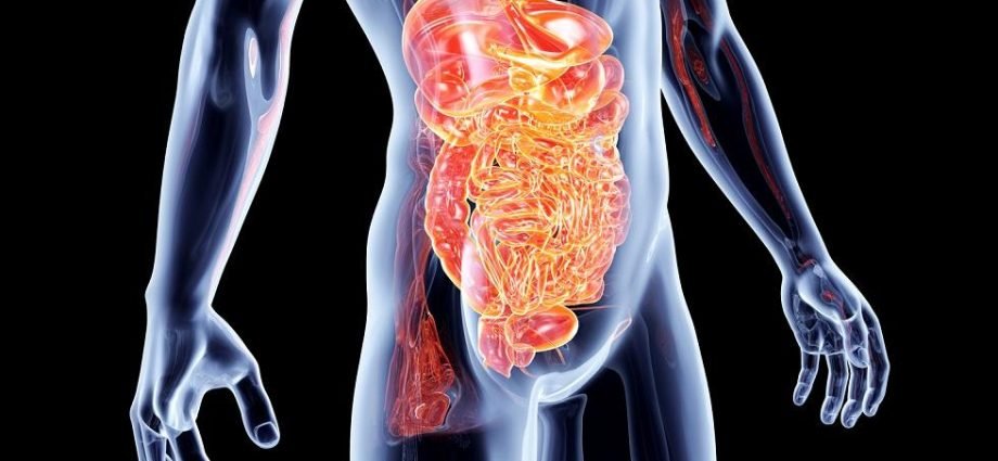 Detox Pathways In The Human Body