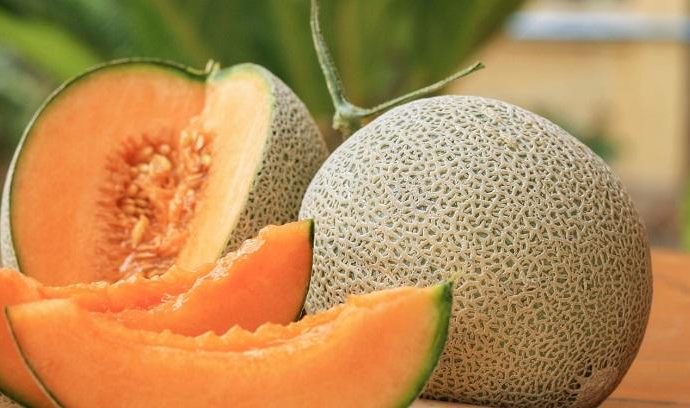 The Amazing Health Benefits of Cantaloupe