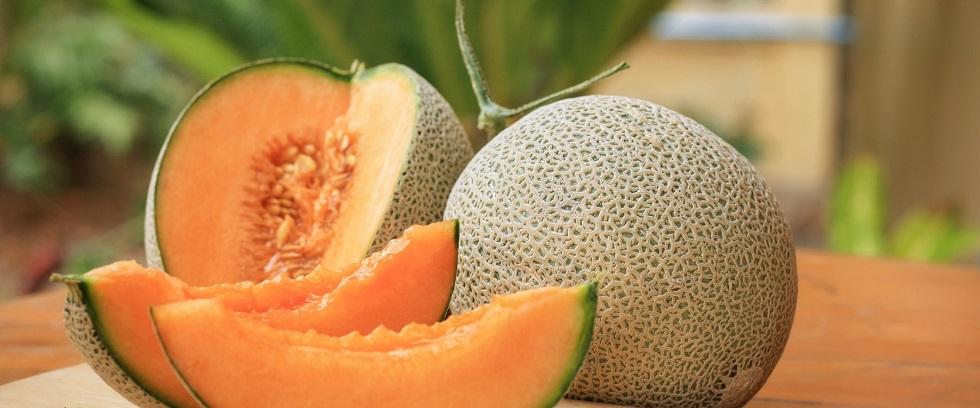 The Amazing Health Benefits of Cantaloupe