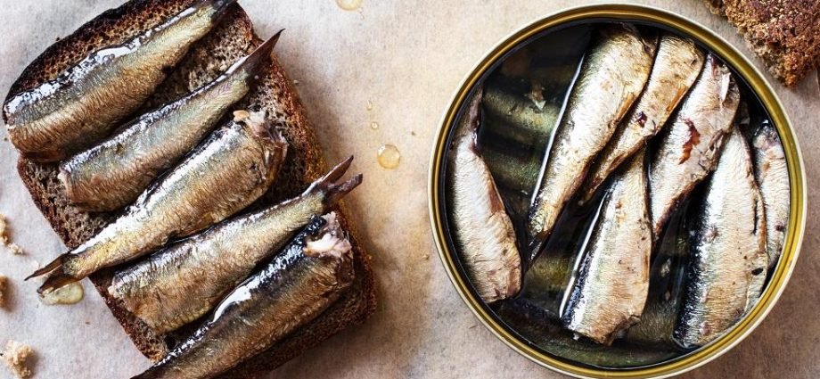 The Amazing Health Benefits of Sardines`