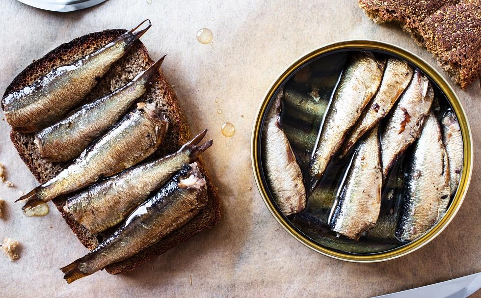 The Amazing Health Benefits of Sardines`