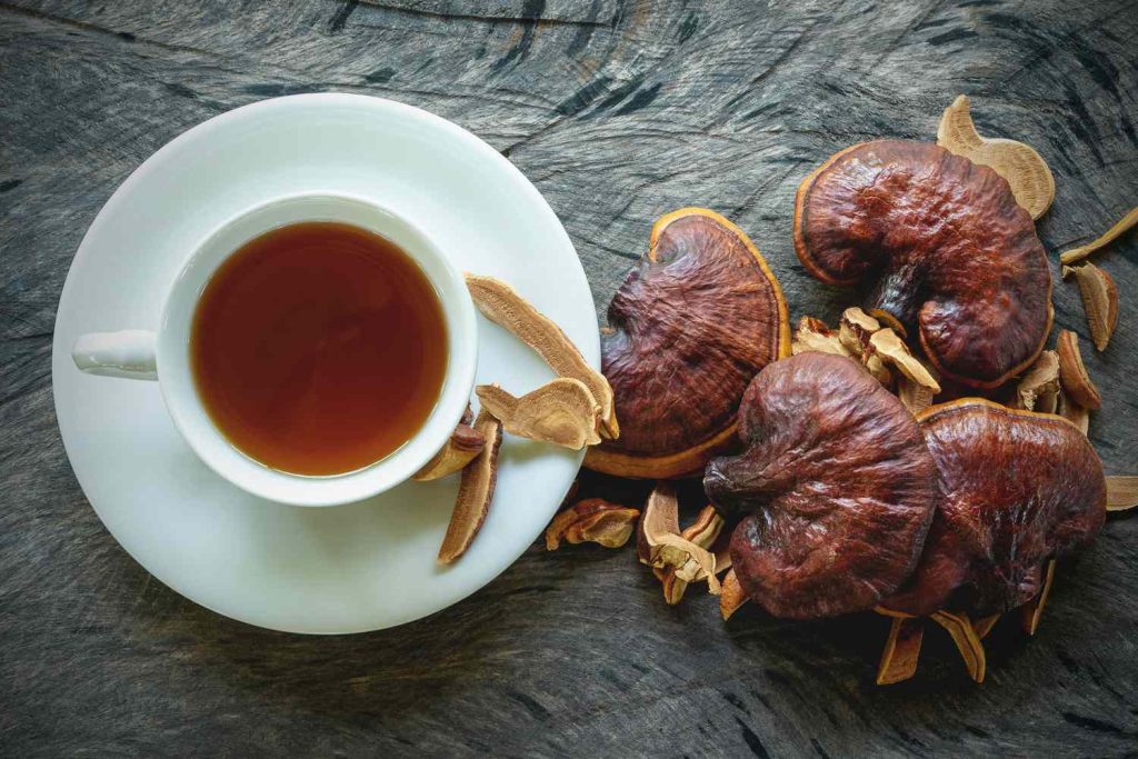 The Benefits of Mushroom Tea for Gut Health