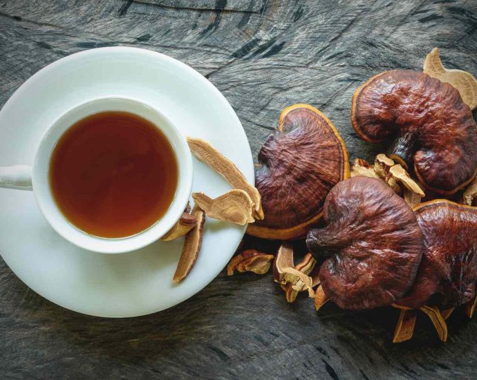 The Benefits of Mushroom Tea for Gut Health