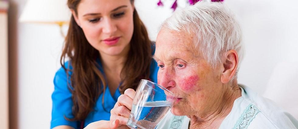 Common Challenges Elderly Persons Face in Obtaining Adequate Nutrition