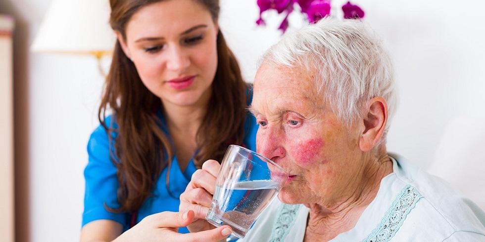 Common Challenges Elderly Persons Face in Obtaining Adequate Nutrition