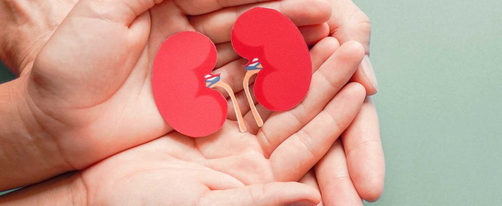 What Are The Most Common Kidney Diseases