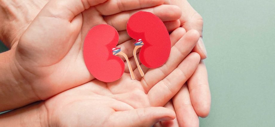What Are The Most Common Kidney Diseases