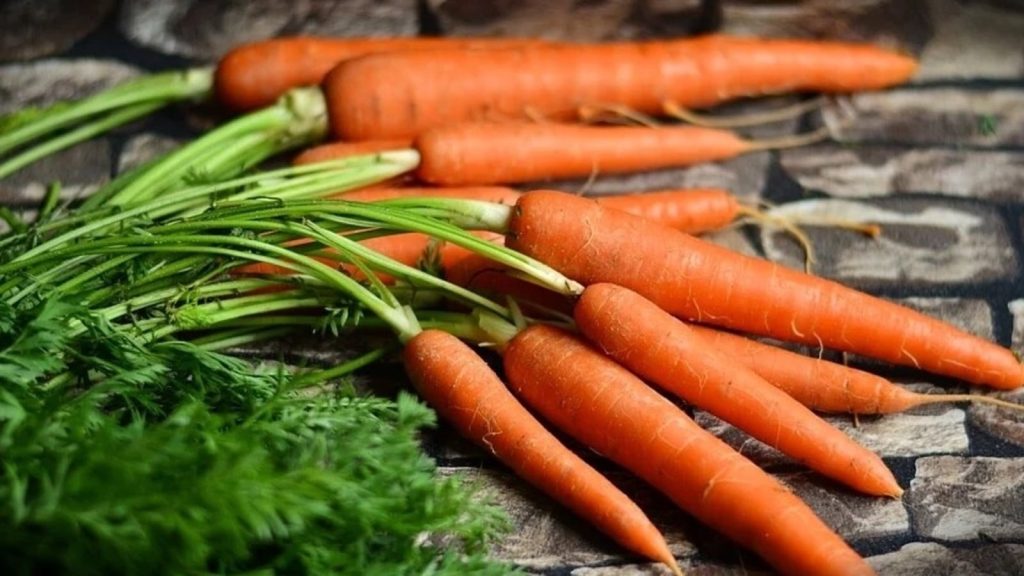 Carrot Properties and Benefits