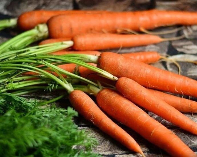 Carrot Properties and Benefits