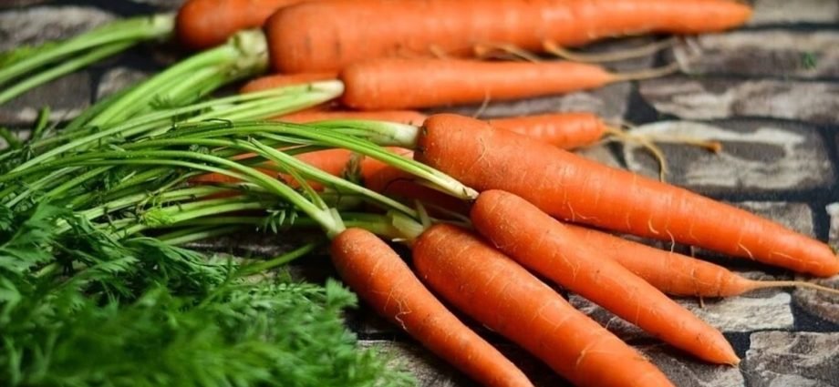 Carrot Properties and Benefits