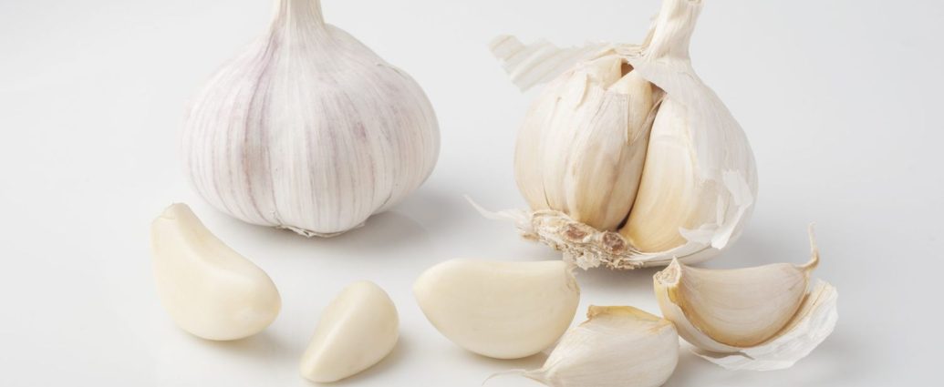 Garlic