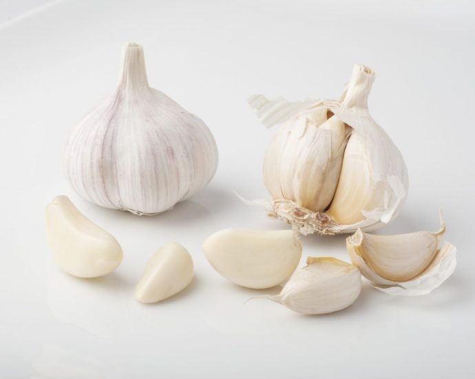 Garlic