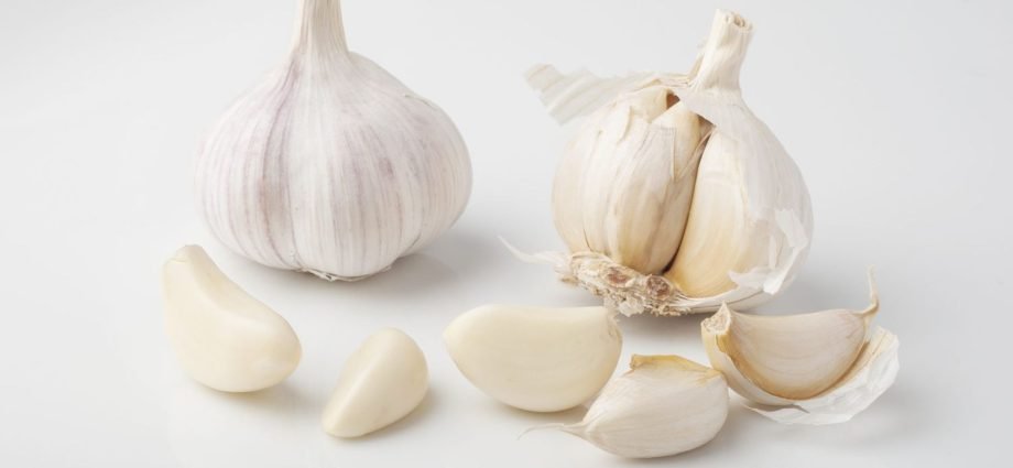 Garlic