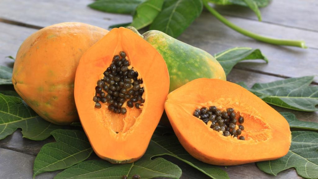 Papaya Properties and Benefits