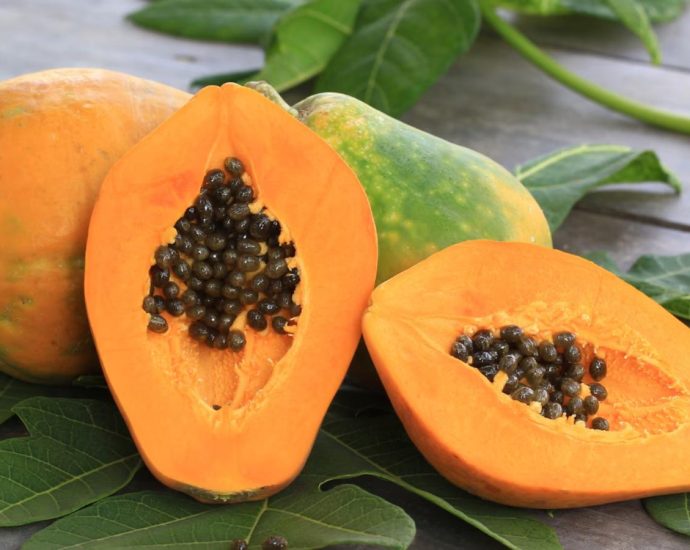 Papaya Properties and Benefits