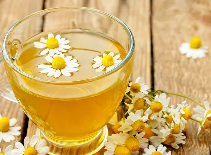 Chamomile Properties and Benefits