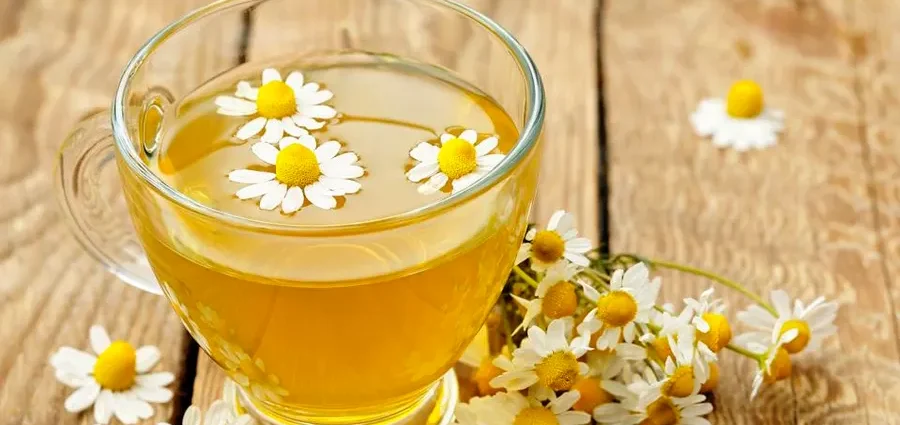 Chamomile Properties and Benefits