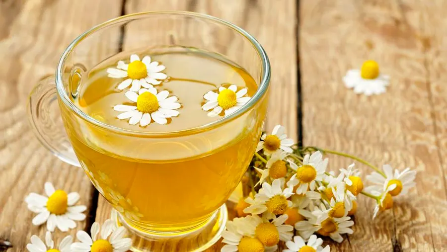 Chamomile Properties and Benefits