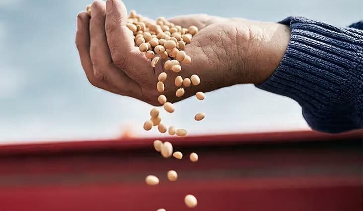 Soy Properties and Benefits of Soybean