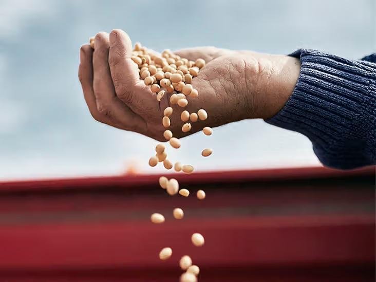 Soy Properties and Benefits of Soybean