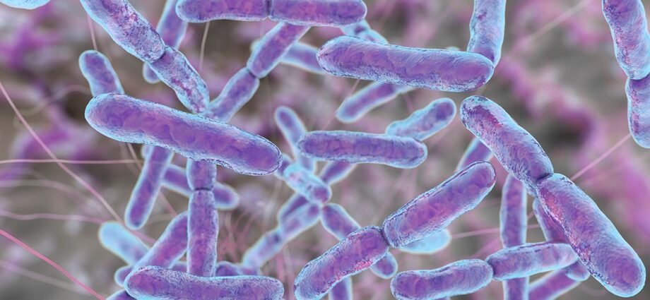 Include probiotics in your diet to keep viruses at bay