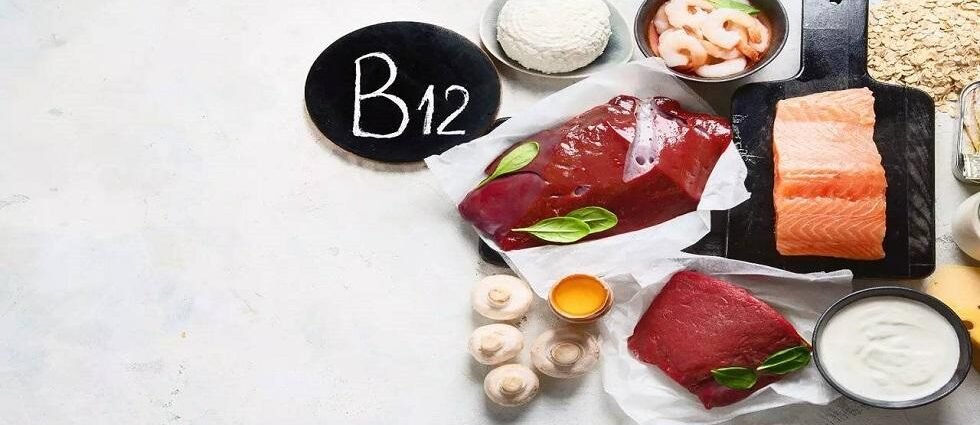 5 Foods Rich in Vitamin B12