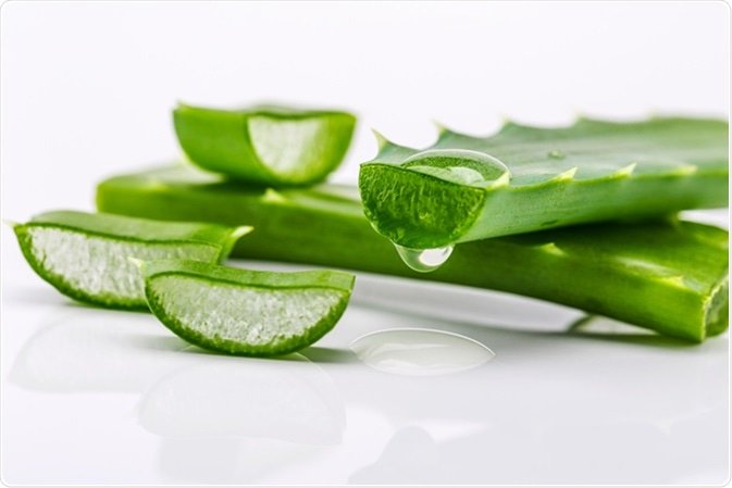 Benefits and Properties of Aloe Vera for Health