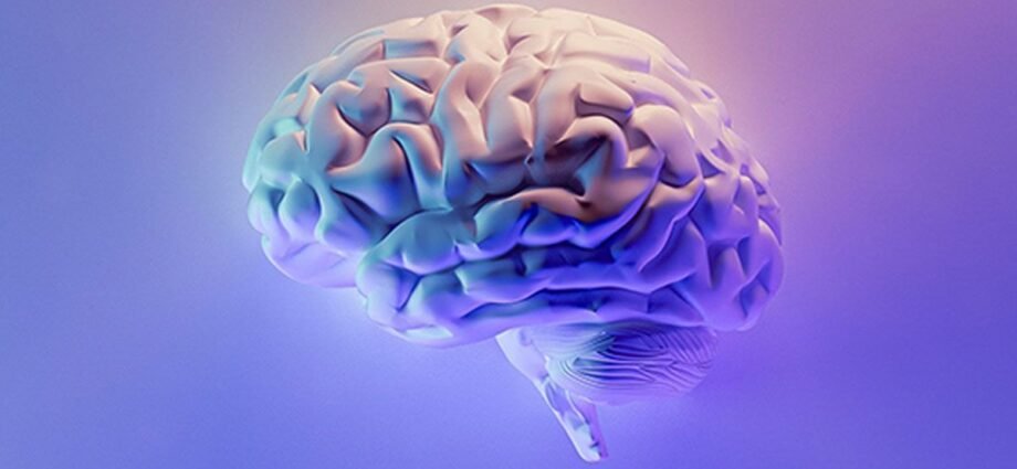 Differences Between Stroke and Cerebral Hemorrhage