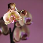 4 ways to increase pleasure alone or with others