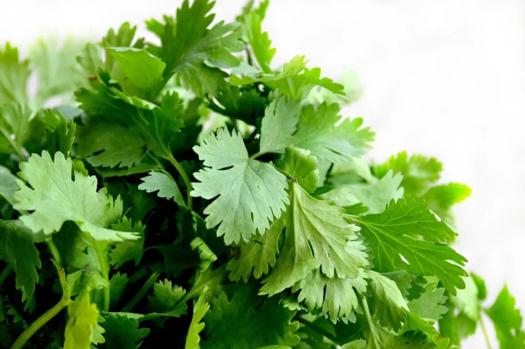 Parsley for skin