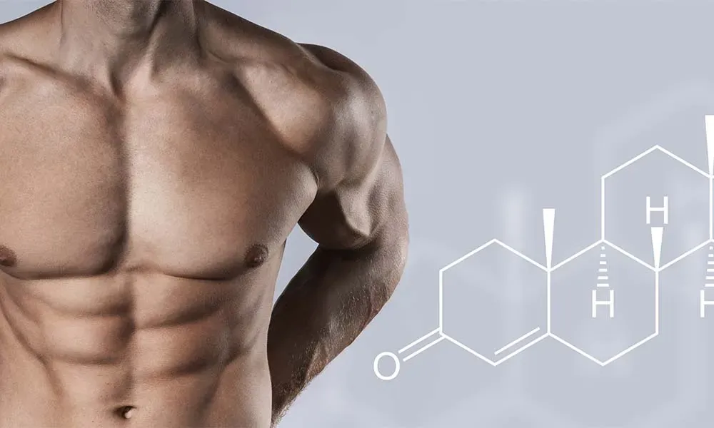 How to Increase Testosterone Naturally