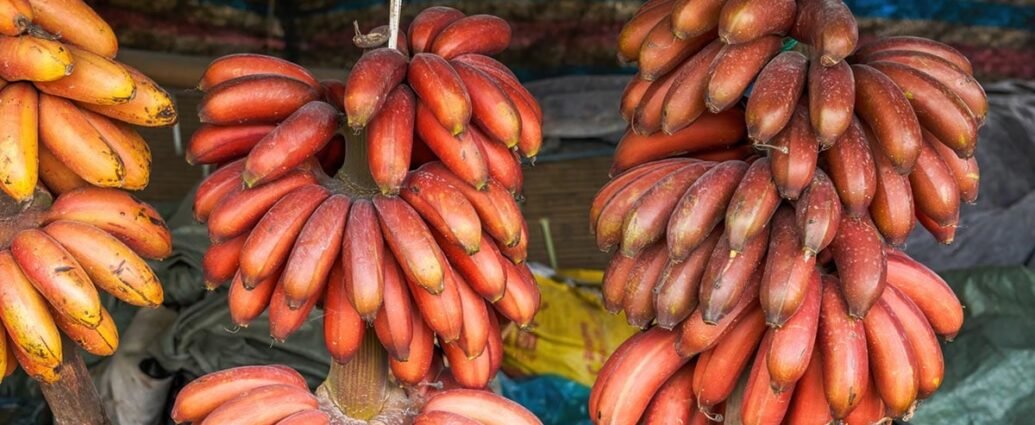 Red Banana