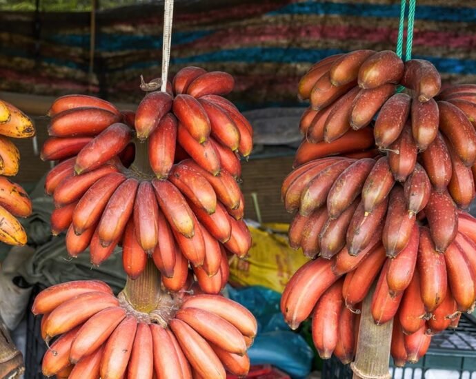 Red Banana