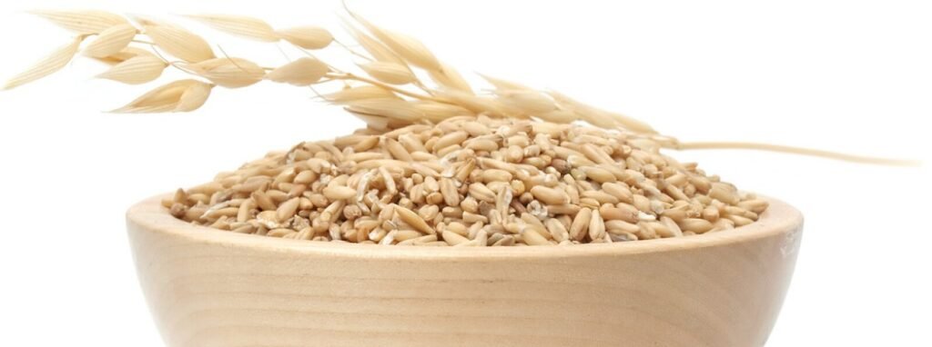 Oat infusion