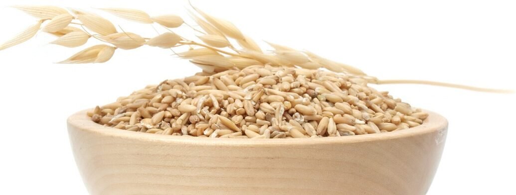 Oat infusion