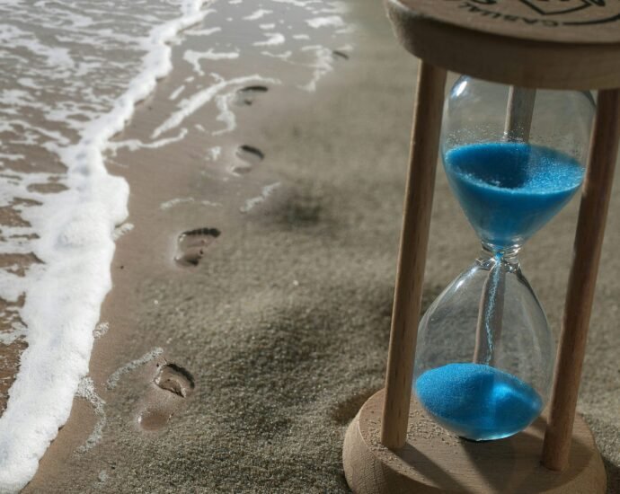 The Vital Clock - These are the schedules that will improve your health