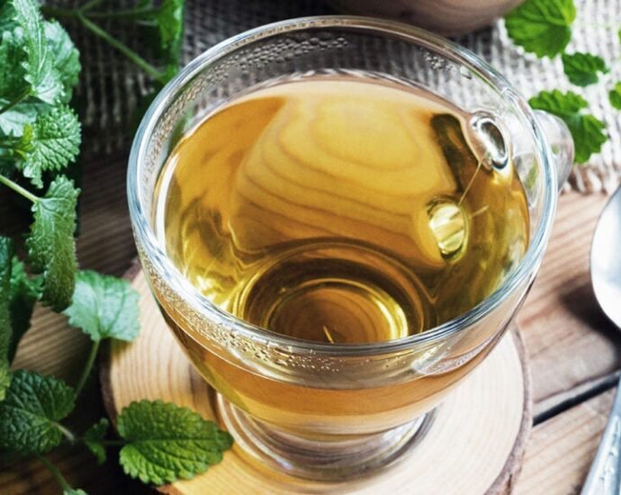 Lemon Balm Tea Recipe - Lemon Balm Tea For Weight Loss