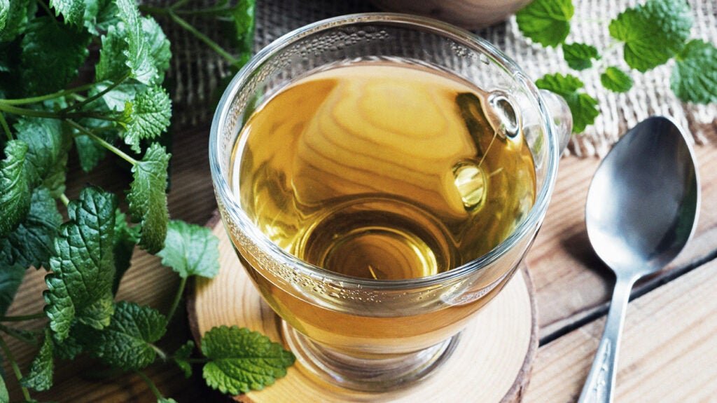 Lemon Balm Tea Recipe - Lemon Balm Tea For Weight Loss