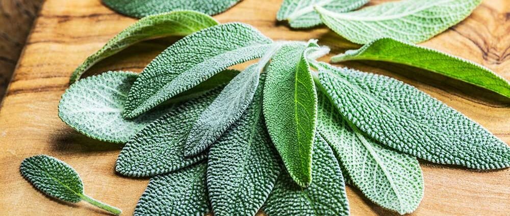 Sage Infusion