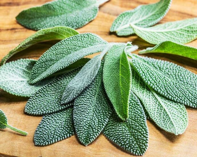 Sage Infusion