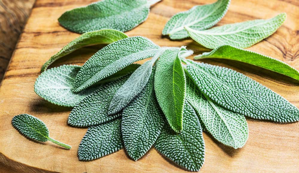 Sage Infusion