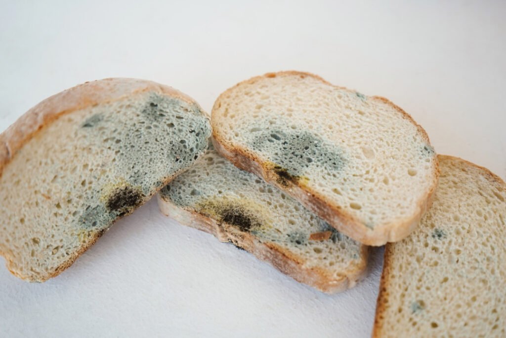 This is what will happen if you eat a piece of moldy bread