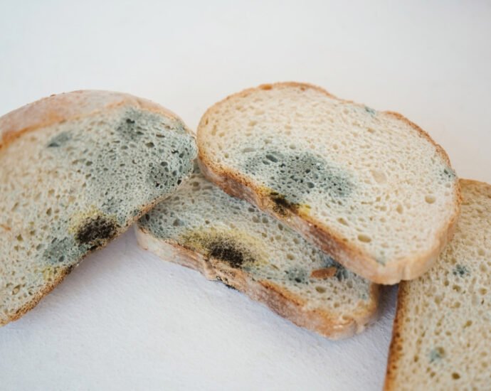 This is what will happen if you eat a piece of moldy bread