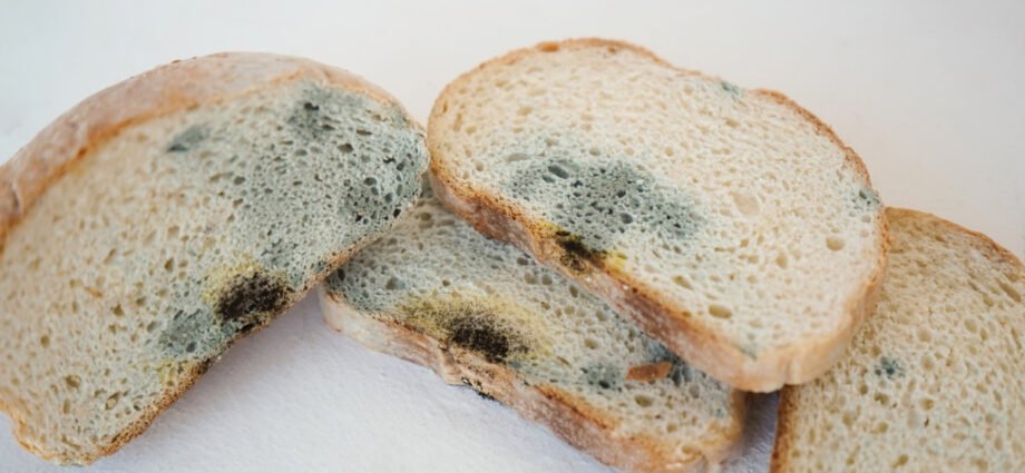 This is what will happen if you eat a piece of moldy bread
