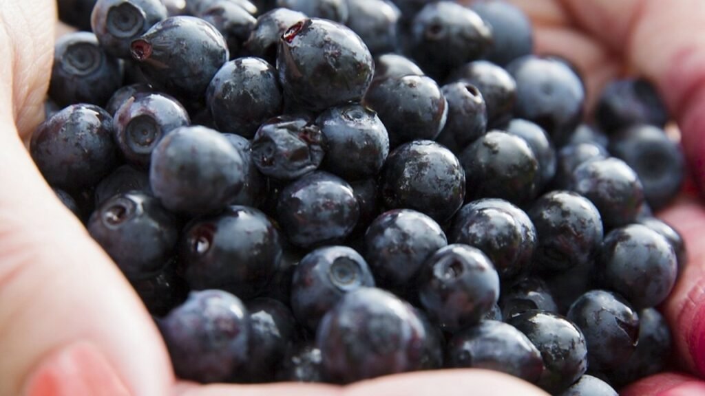 Acai - benefits and properties of this superfood
