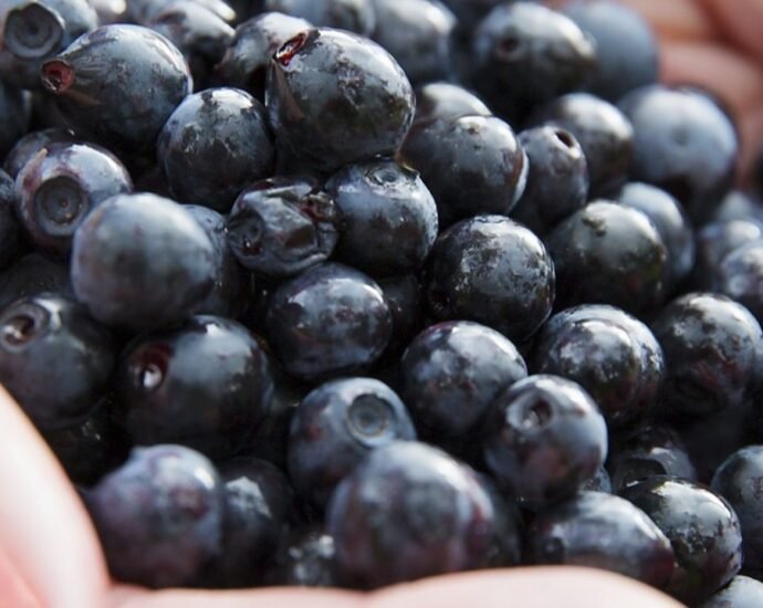 Acai - benefits and properties of this superfood