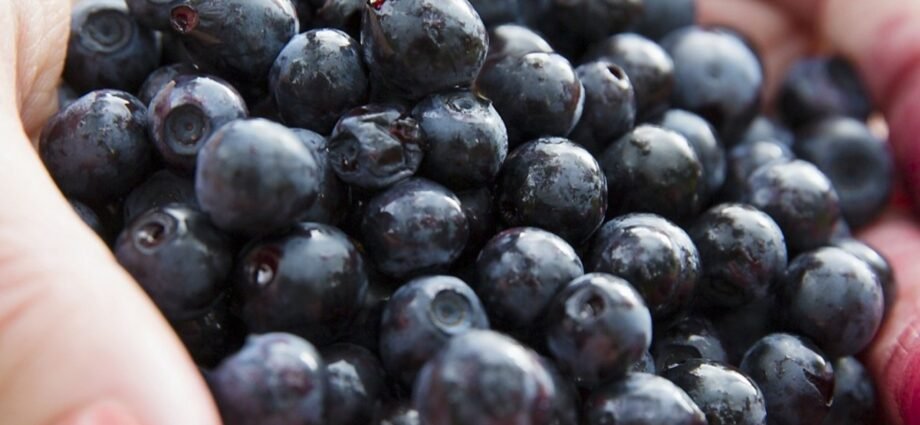 Acai - benefits and properties of this superfood