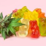 Do CBD Gummies Help Alleviate Pain