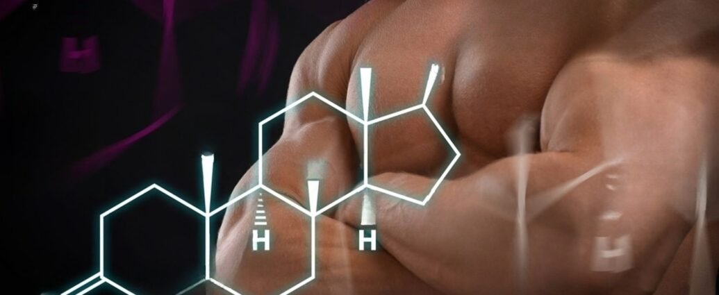 What is testosterone - All its functions in the body