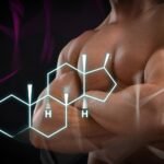 What is testosterone - All its functions in the body